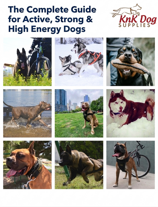 The complete guide for active, strong and high energy dogs by KNK DOG SUPPLIES