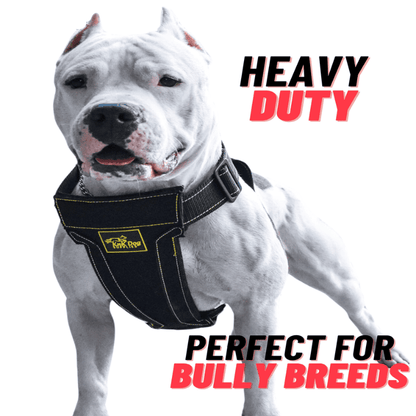 Heavy Duty Dog Harness