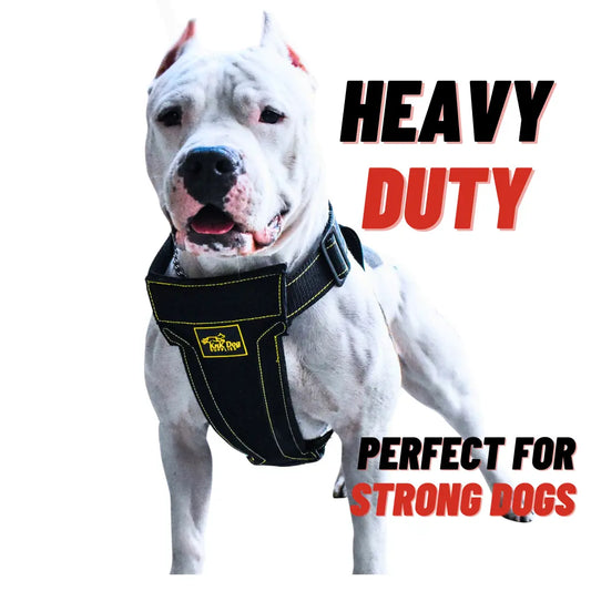 Super Strong Heavy Duty Dog Harness with Metal Hardware
