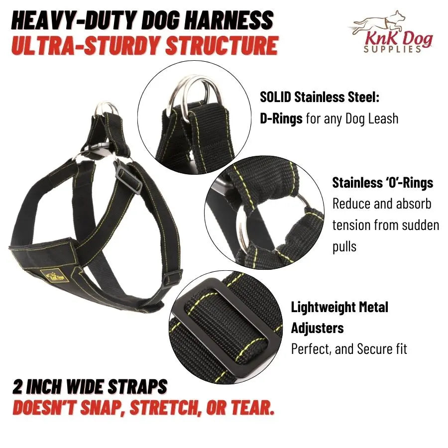 heavy-duty-dog-harness for Belgian Malinois