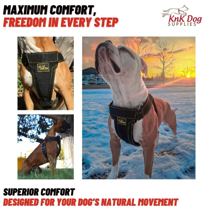 KNK® Dog Harness for Pitbull - 1,540 lbs Strength & Metal Buckles