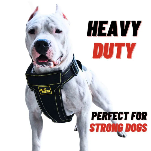 Super Strong Heavy Duty Dog Harness with Metal Hardware