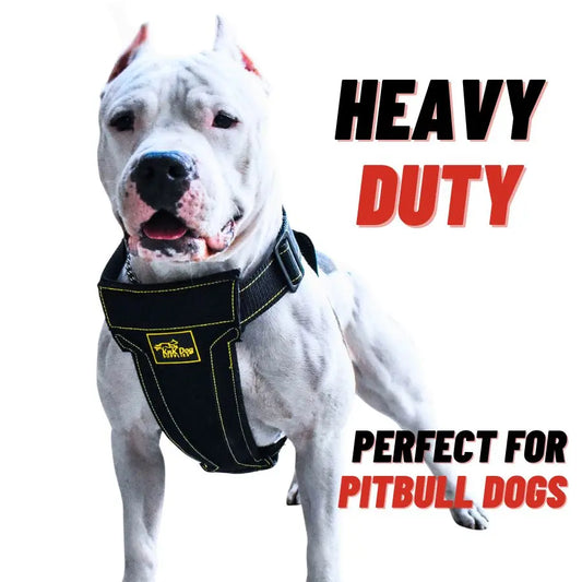 KNK® Dog Harness for Pitbull and Bully breeds - 1,540 lbs Strength & Metal Buckles